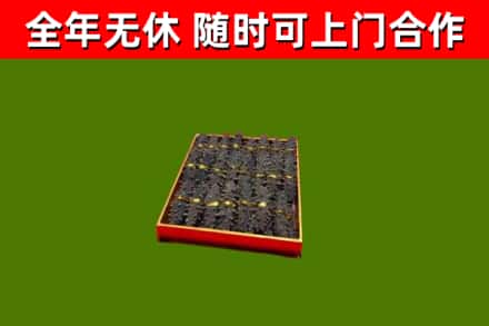 黎城回收海参